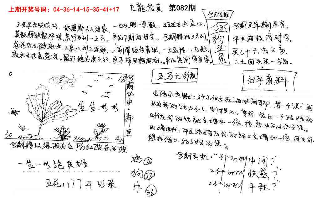 082期手写九龙内幕[图]